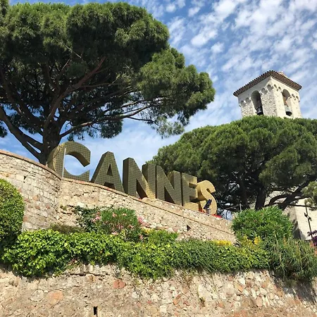 Appartement Suquet Stunning Sea View Bright Prime Quiet Location Cannes